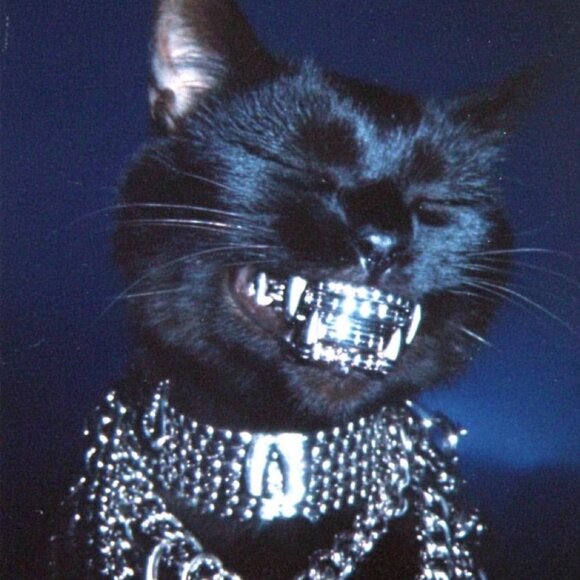 Hello hi, I’m Dave - Picture 1 of 2